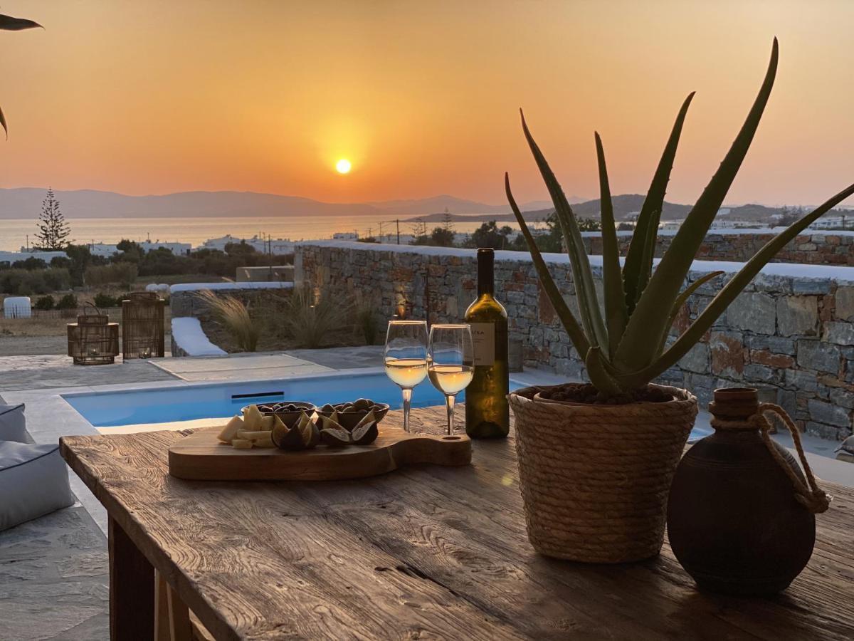 Agia Anna  Villa Ypsilon Naxos - Luxury Holiday House With Amazing Sea View & Private Pool מראה חיצוני תמונה
